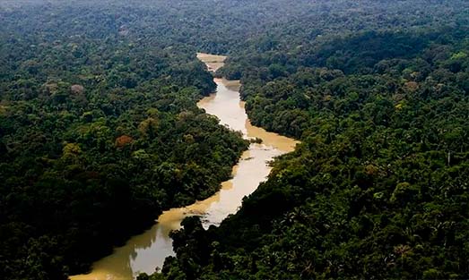 Gestão Ambiental